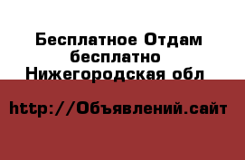 Бесплатное Отдам бесплатно. Нижегородская обл.